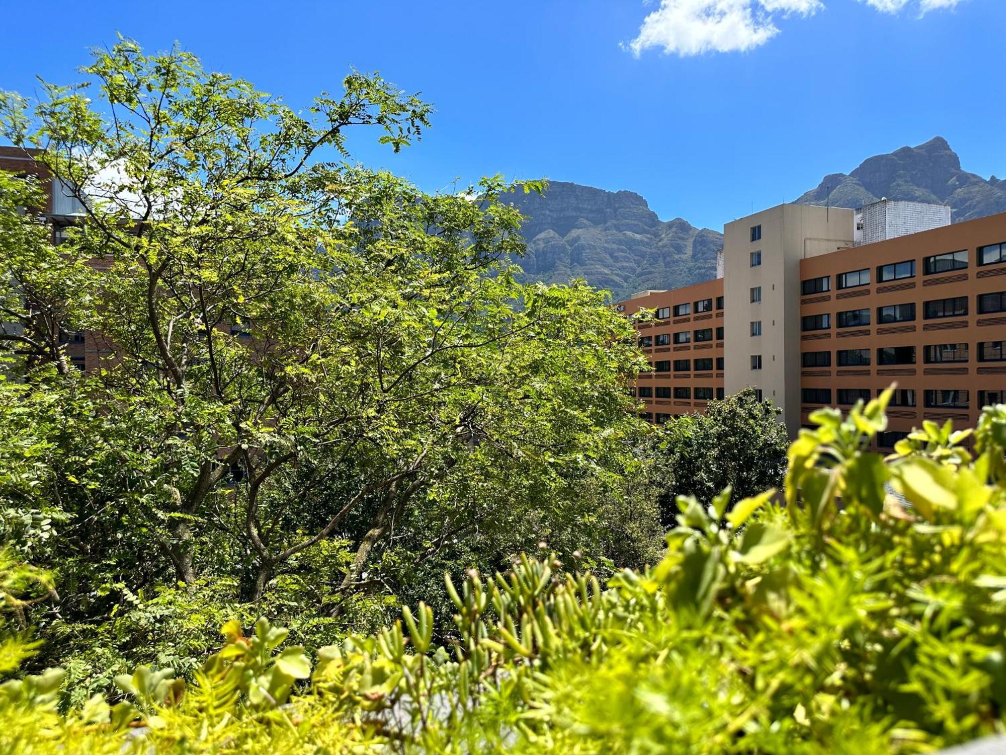 Newlands Peak Apartments Cape Town Exterior photo
